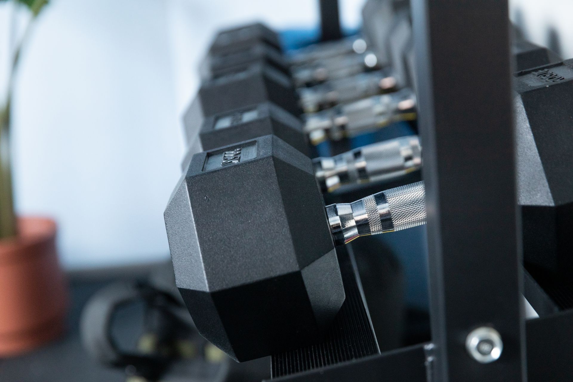 Close-up of a row of black hexagonal dumbbells on a rack in a gym setting.